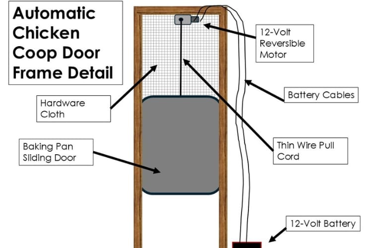 Automatic Chicken Coop Door 4