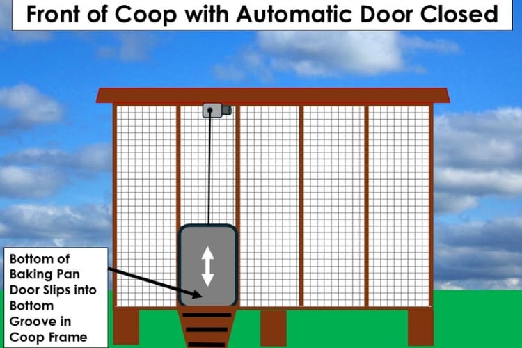 Automatic Chicken Coop Door 5
