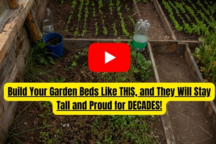 Build Your Garden Beds Like THIS, and They Will Stay Tall and Proud for DECADES! NGP