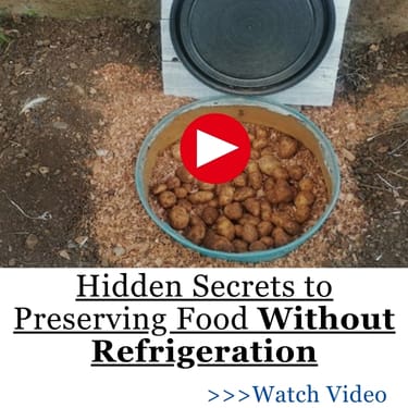 Hidden Secrets to Preserving Food Without Refrigeration BIG