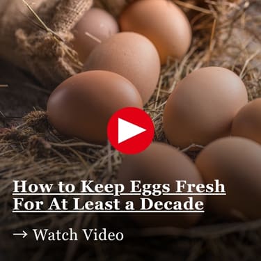 Brown eggs resting in straw with a red play button overlay and text that reads, “How to Keep Eggs Fresh For At Least a Decade Watch Video.