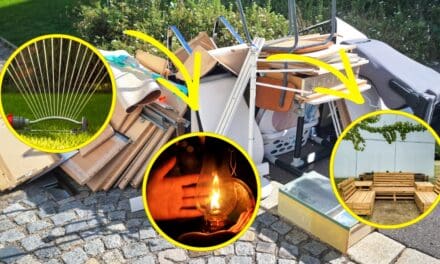 NEVER Throw Away These Items! (Do This Instead)