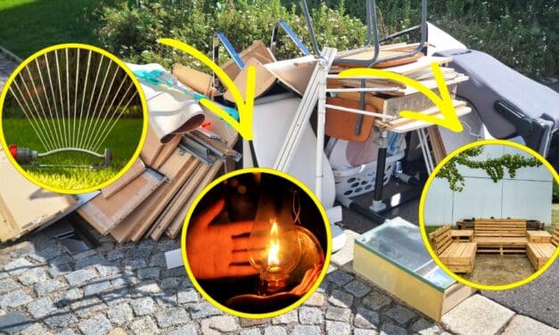 NEVER Throw Away These Items! (Do This Instead)