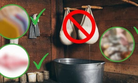 No Cheesecloth? Try These 9 Household Alternatives