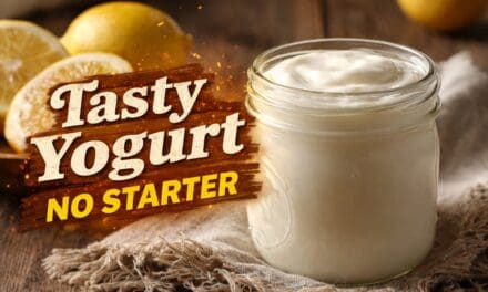 How to Make Yogurt Without Starter: 6 Methods That Actually Work