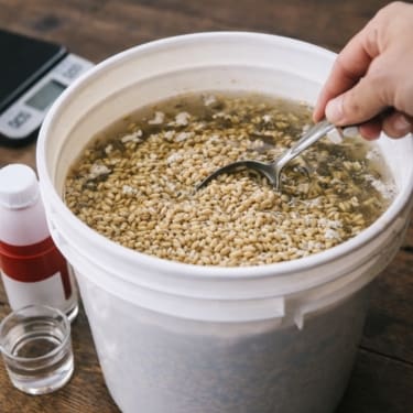 A hand holding a spoon stirs soaked barley grains in a white bucket filled with water, with small bottles beside it on a wooden table.