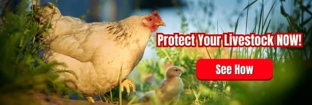 protect your livestock NGP