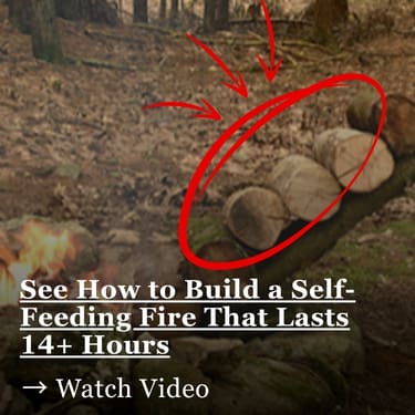 self feeding fire WSG