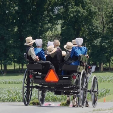 An Amish family rides in a black open buggy down a country road, with men in straw hats and women in bonnets seated together.