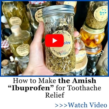 How to Make the Amish “Ibuprofen” for Toothache Relief