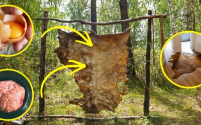 I Tanned a Hide With Nothing but Eggs and Animal Brain