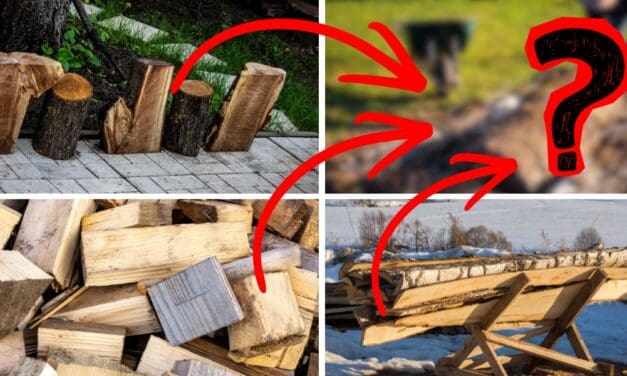 Leftover Firewood? Here’s What to Do With It