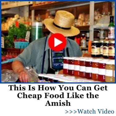 This Is How You Can Get Cheap Food Like the Amish AWB