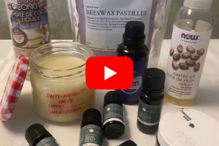 Video: how to make a homemade anti-mosquito salve with essential oils, beeswax, and coconut oil.
