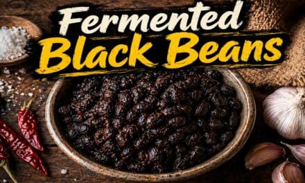 Fermented Black Beans: A Complete Guide to Making and Using Them at Home
