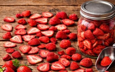 Freeze Dried Strawberries: How to Make, Store, and Use Them at Home