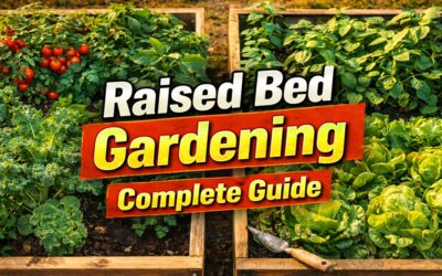 Raised Bed Gardening: The Complete Guide to Building, Filling, and Growing