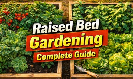Raised Bed Gardening: The Complete Guide to Building, Filling, and Growing