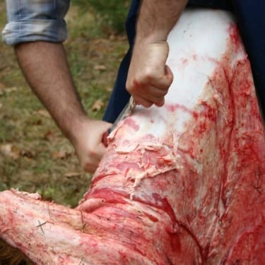 man fleshing hide 