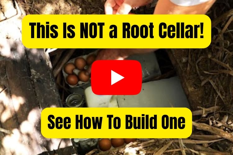 this is not a root cellar AWBA rustic underground Amish-style fridge built into the dirt, with a wooden lid pulled open to reveal eggs, milk, jars, and preserved food stored inside while a person reaches in by hand.