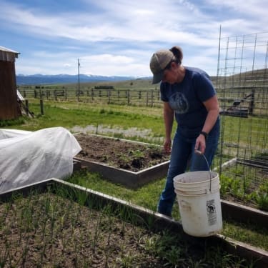 A person works in a raised-bed garden on a rural Idaho homestead, holding a white bucket while tending young plants. Wooden fencing, a small shed, wire trellises, open fields, and distant mountains are visible in the bright daylight background.