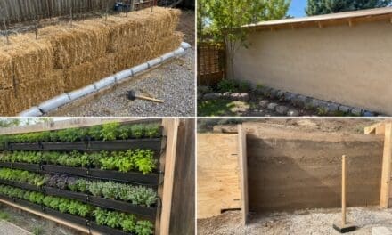 DIY Natural Noise-Cancelling Walls