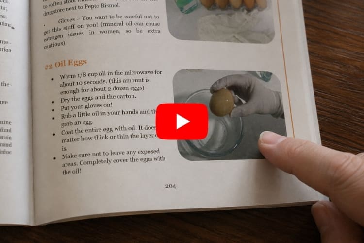 page 204 o the lost super foods book