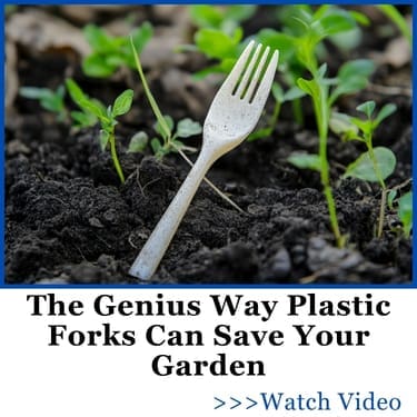 The Genius Way Plastic Forks Can Save Your Garden AWA