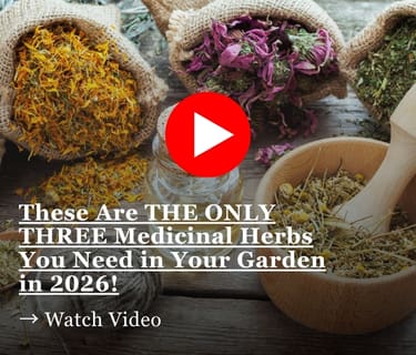 medicinal herbs