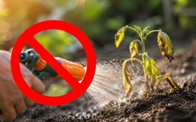 Why Tap Water Might Be Slowly Killing Your Garden (And What to Use Instead)