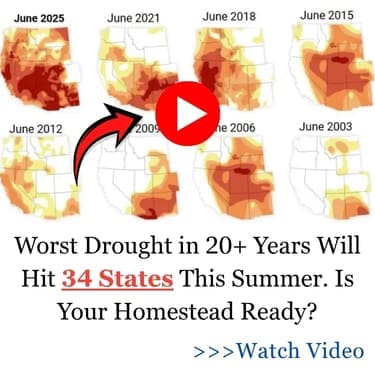 Worst Drought in 20+ Years Will Hit 34 States This Summer. Is Your Homestead Ready JW