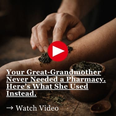 Your Great-Grandmother Never Needed a Pharmacy. Here’s What She Used Instead. Photo of someone Using black mysterious salve