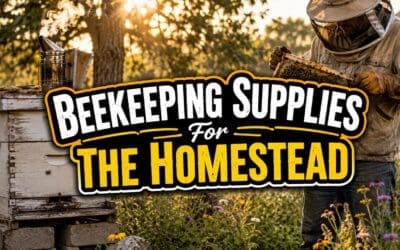 Beekeeping Supplies for the Homestead: Everything You Actually Need