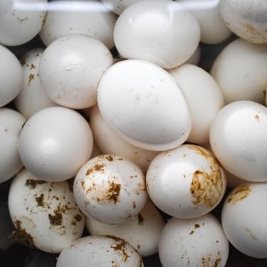 photo of dirtuy fresh eggs