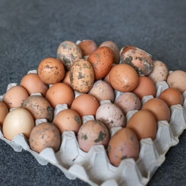 fresh dirty eggs in a carton
