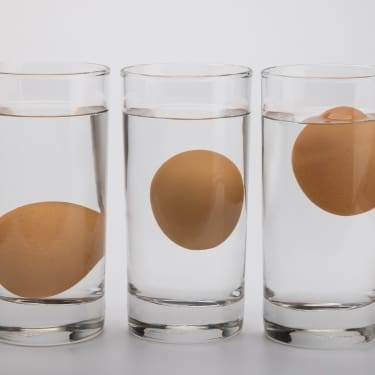 egg floating test
