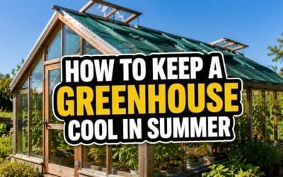 How to Keep a Greenhouse Cool in Summer (10 Proven Methods)