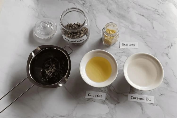 insect bite salve