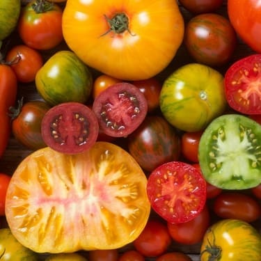 photo of more types of tomatoes
