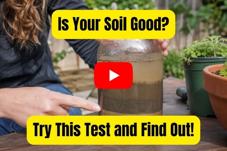 Is your soil good? Try the test from this vide0
