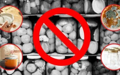 10 Fermentation Mistakes That Will Ruin the Whole Batch