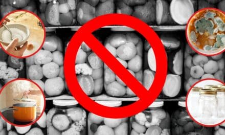 10 Fermentation Mistakes That Will Ruin the Whole Batch