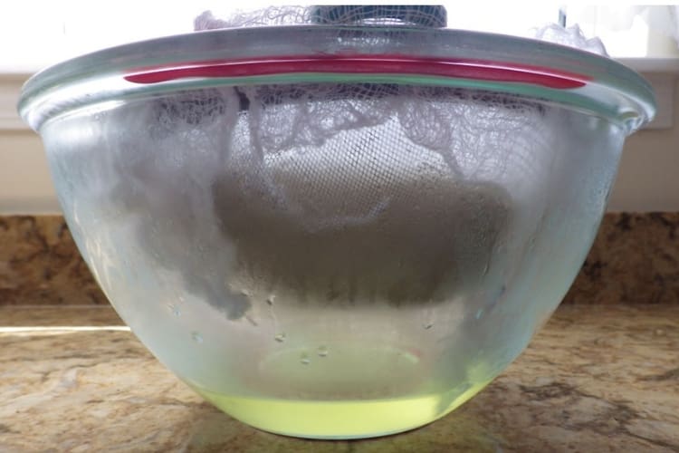 WHEY AT BOTTOM OF BOWL
