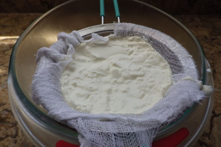THICK GREEK YOGURT