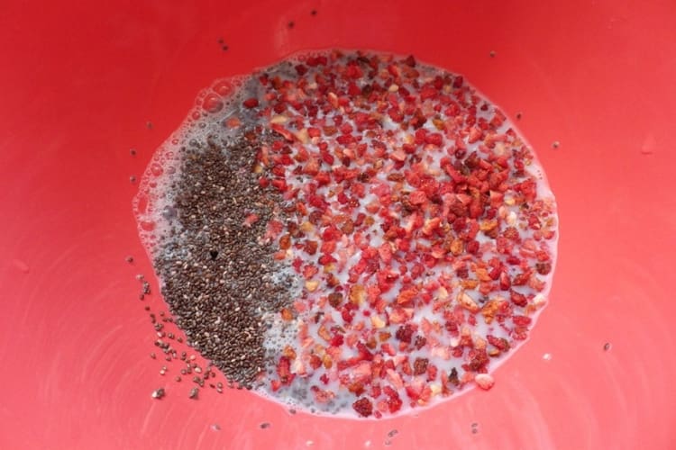 DEHYDRATED FRUIT AND CHIA IN WHEY