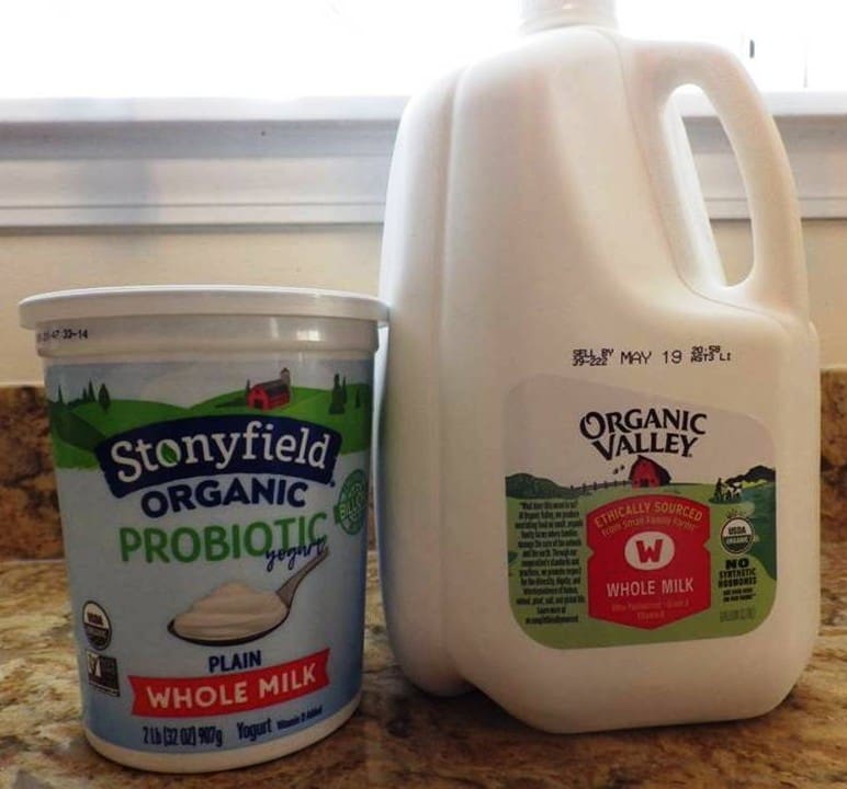 homemade greek yogurt ingredients