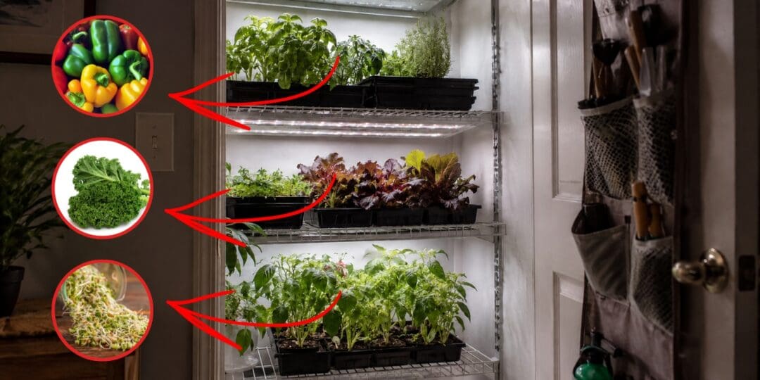 DIY Closet Farming Guide