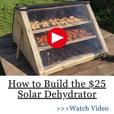 How to Build the $25 Solar Dehydrator Homemade solar food dehydrator made from wood and clear plastic sitting on an outdoor table in direct sunlight, with trays of sliced apples, apricots, and berries drying inside. A jar of dried fruit sits beside the dehydrator in a backyard garden setting.