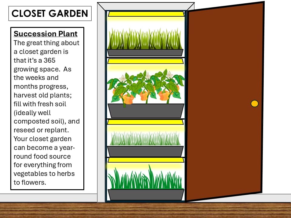 closet farming succesion planting