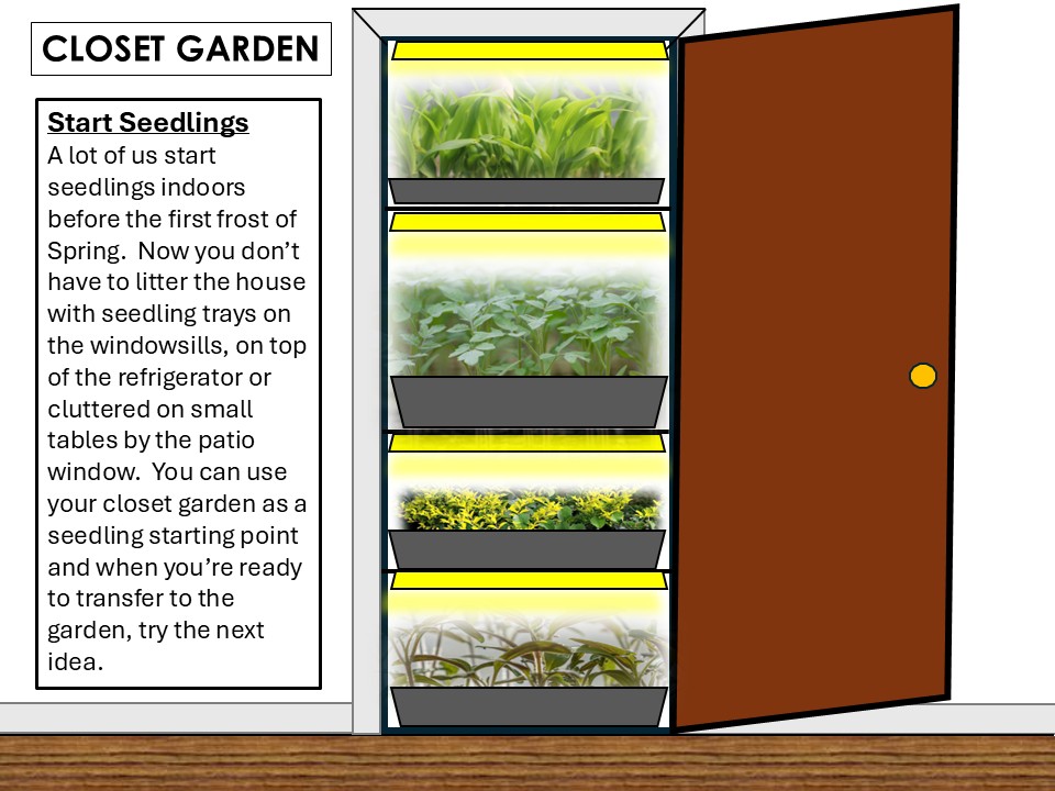 closet farming seedlings